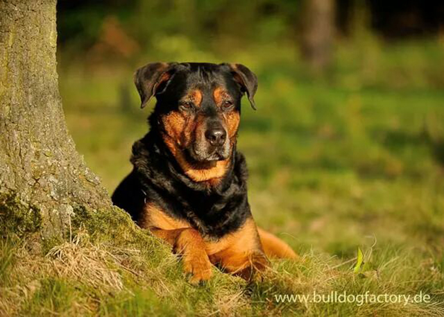 Fotoshooting mit Bodo