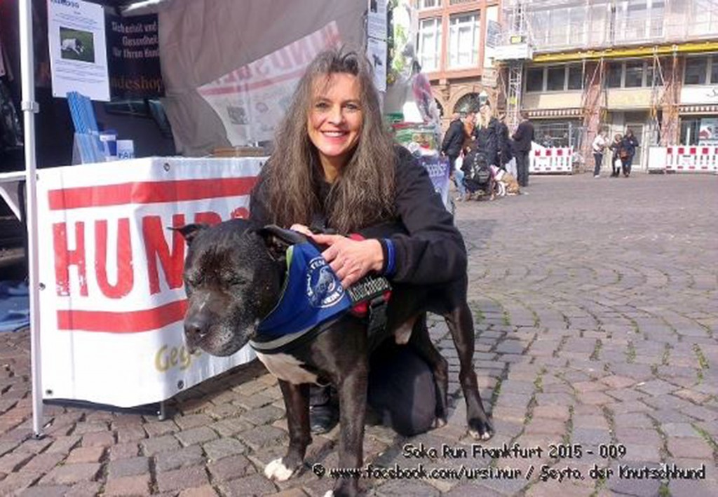 Nicole mit Lieblings-Pitbull Seyto, SOKA Run Frankfurt 2015