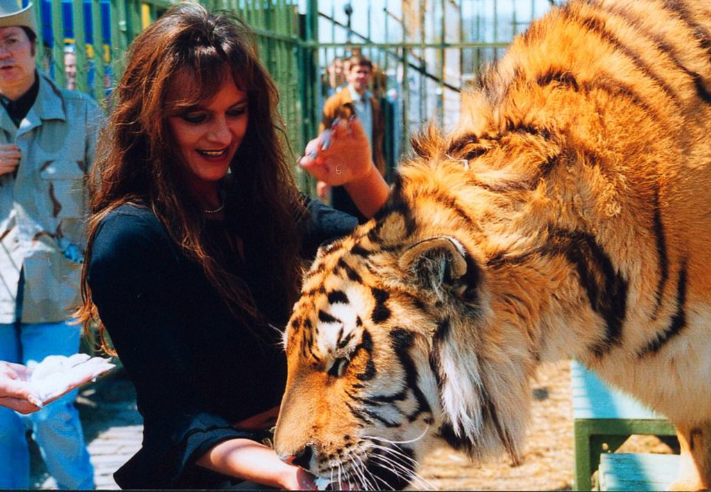 Besuch bei den Tigern von Siegfried und Roy 